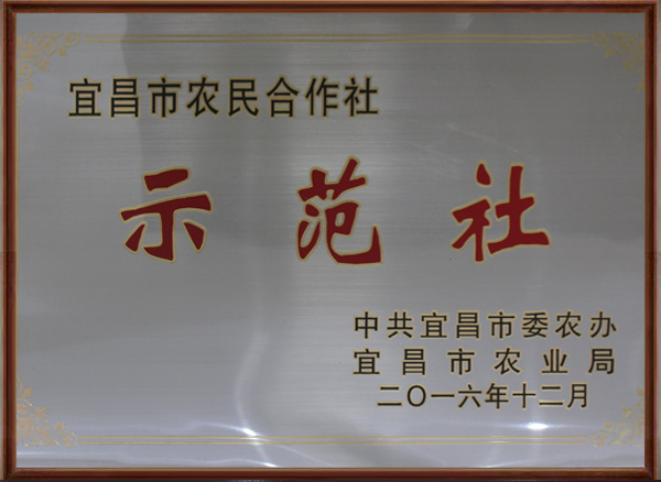 1590375089957506.jpg 示范社.jpg