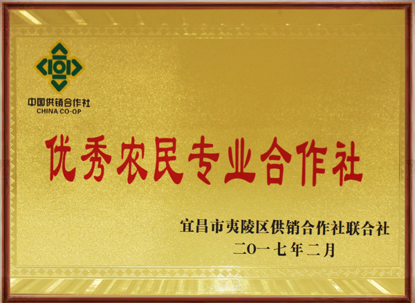 1590375195684362.jpg 優(yōu)秀農(nóng)民專業(yè)合作社.jpg